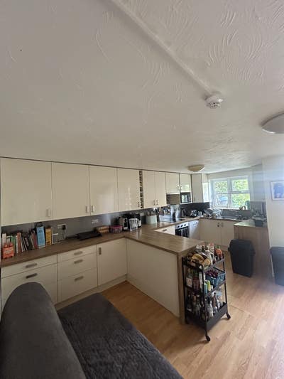 Looking for a new housemate in Greenwich Main Photo
