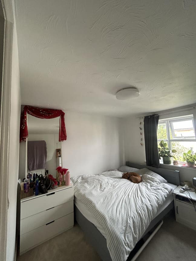 Looking for a new housemate in Greenwich Main Photo