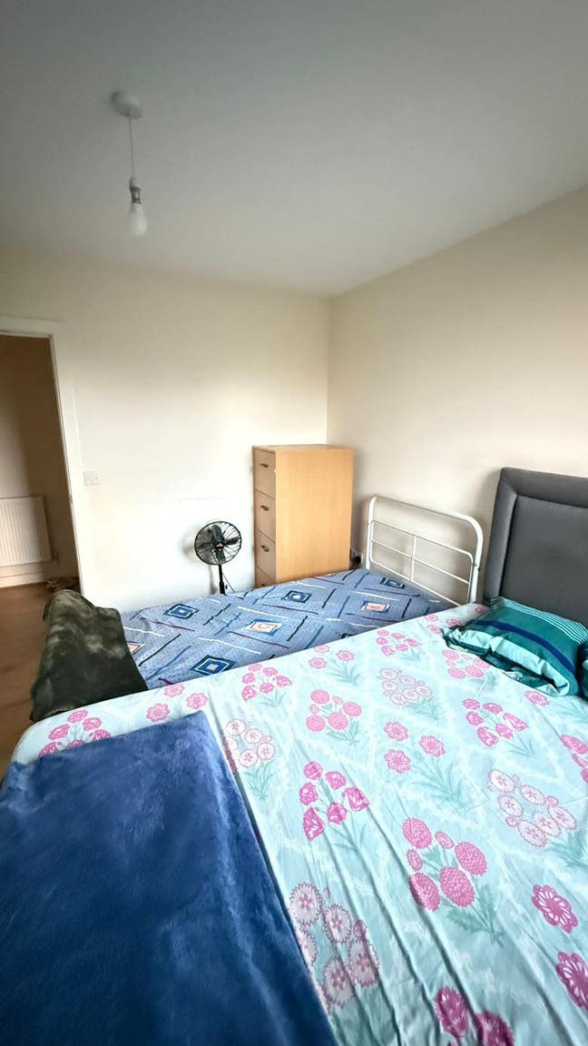 1bhk  Main Photo