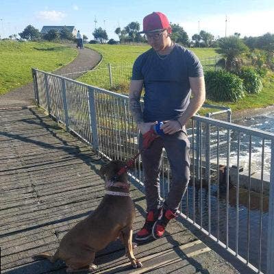 Looking for double room or buddy up. Dog owner. Main Photo