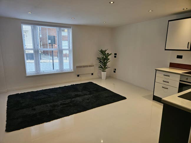 Modern 2 bed flat town centre Main Photo