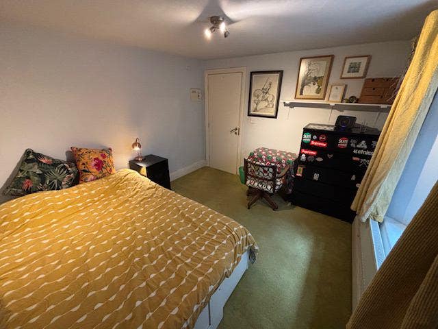 Single occupancy double room in friendly household Main Photo