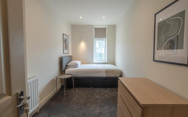 Beautiful Double Room - Lipson Road Main Photo
