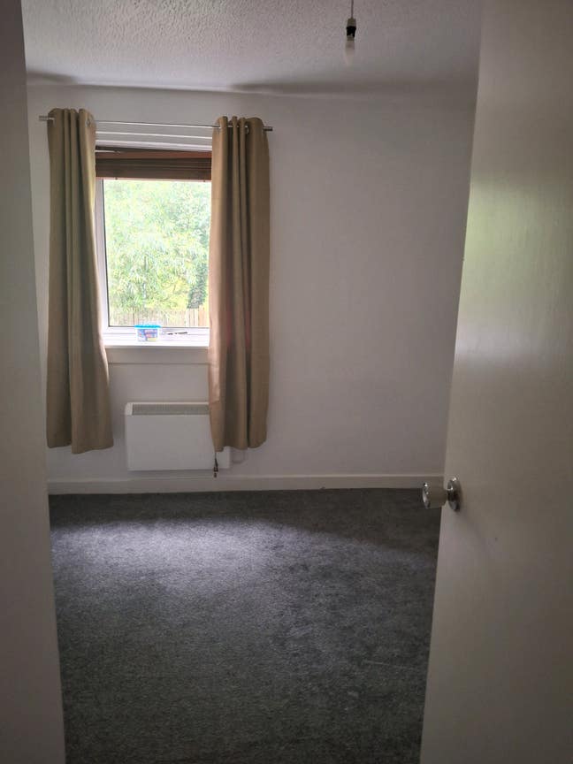 Looking for a student flatmate west end Main Photo