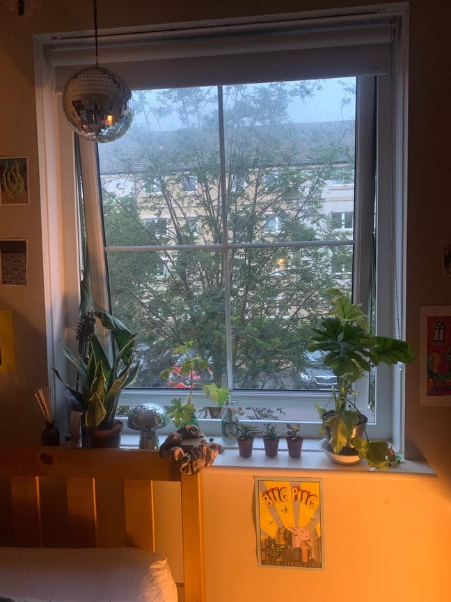 Sunny en suite double room near the Shore ☀️ Main Photo