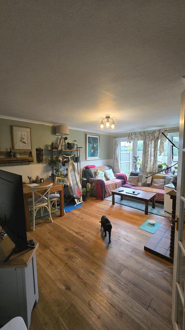 Spacious Double in a Friendly Garden Maisonette Main Photo