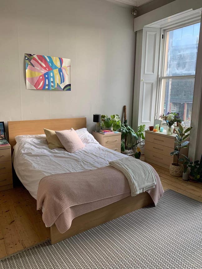 Flatmate needed in Haymarket  Main Photo