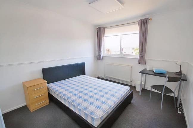 Luxurious & Cozy Room Available From 1st October Main Photo