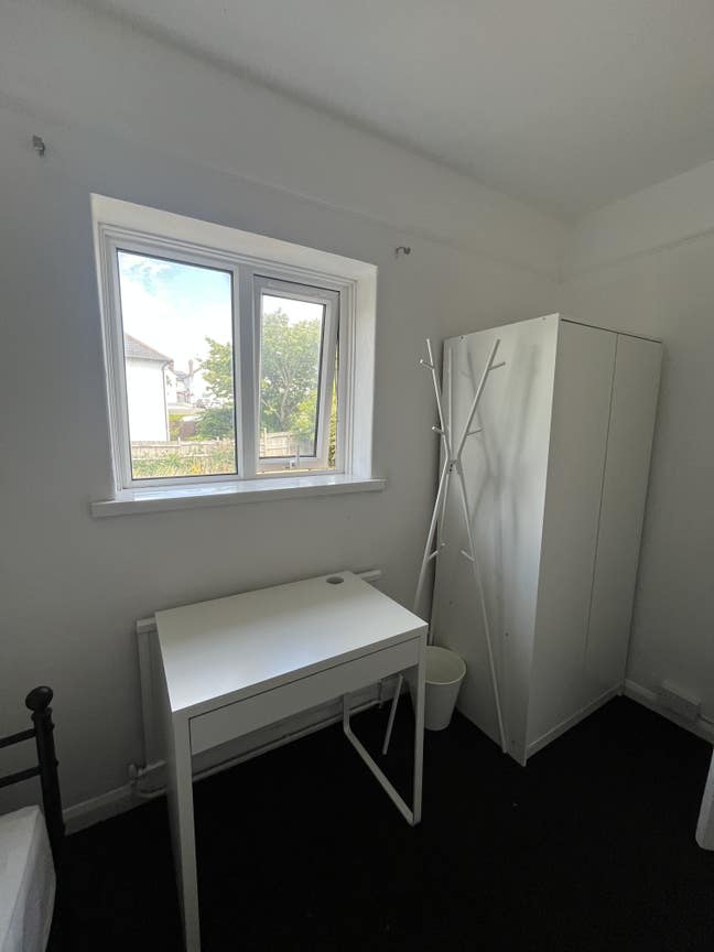 Buddy up  Main Photo