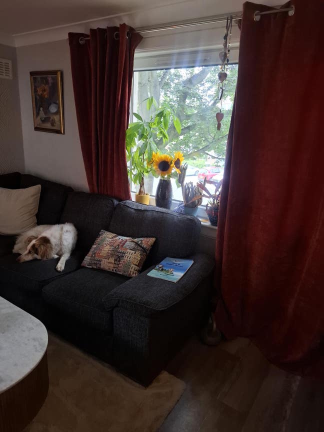 Double Room available Sep 1st ( dog friendly )  Main Photo
