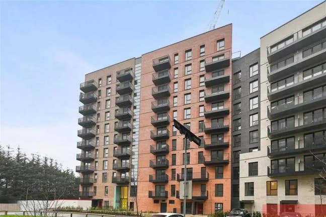 Studio Flat  Flat / Caturra Court - Hayes Main Photo