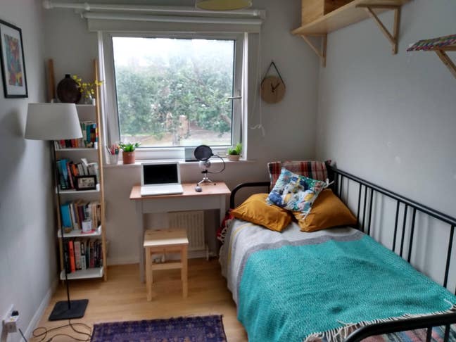 Short term let friendly vegan Camberwell flat Main Photo