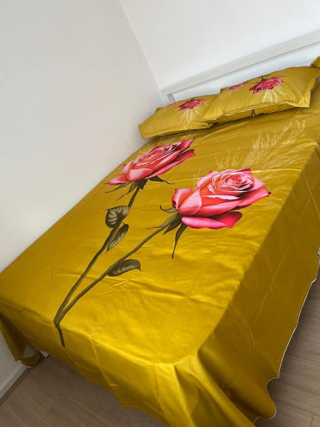 Double room rent for female  Main Photo