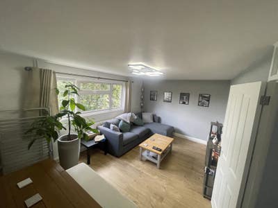 Large double room, modern, living with couple&dog Main Photo