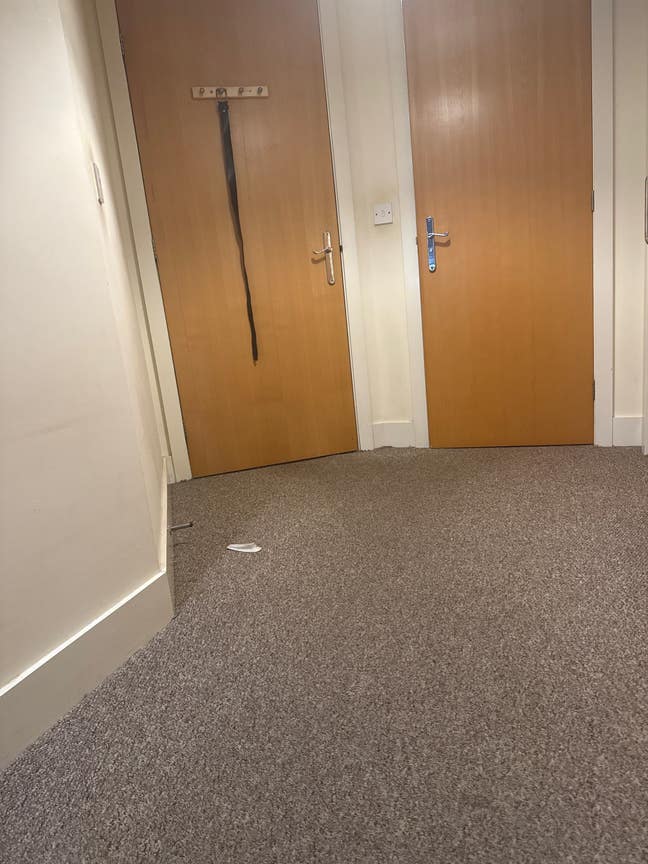 Massive livin room with a luxury kitchen  Main Photo
