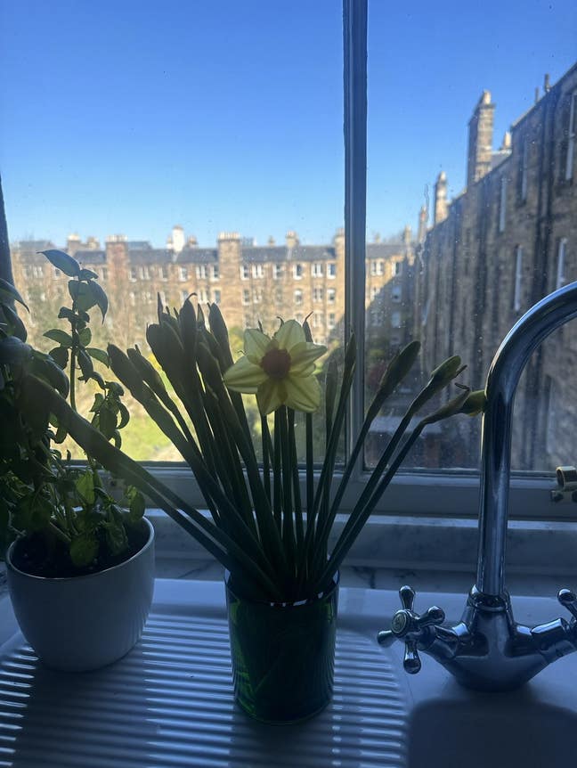 Lovely double room available for short term let Main Photo