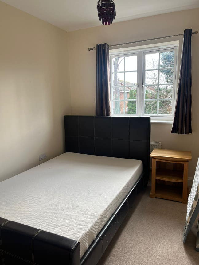 Need flatmate Main Photo