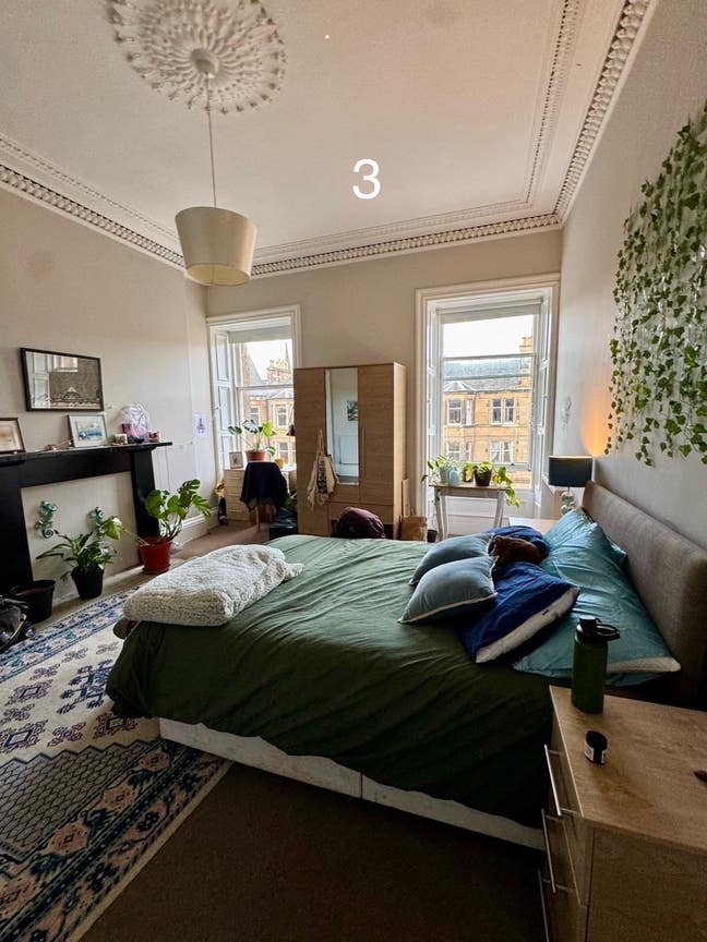 ⭐️in search of cool new flatmates⭐️ Main Photo
