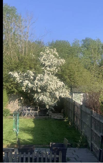 Garden view in quiet house  Main Photo