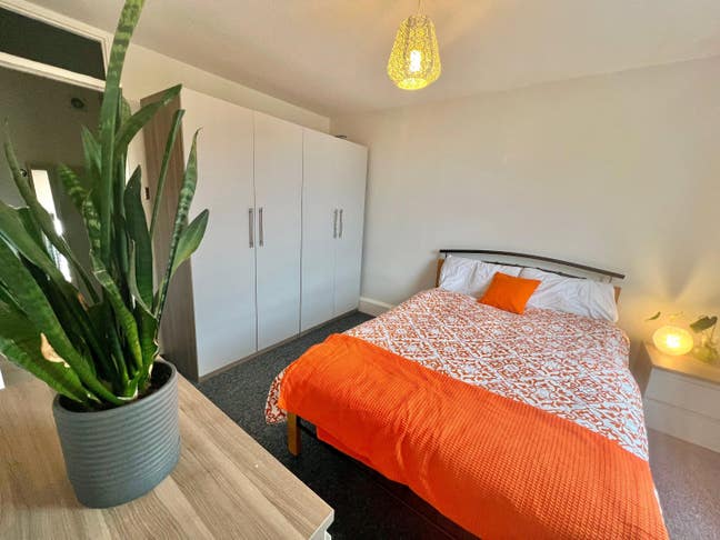 1 double bed large and beautiful  Main Photo