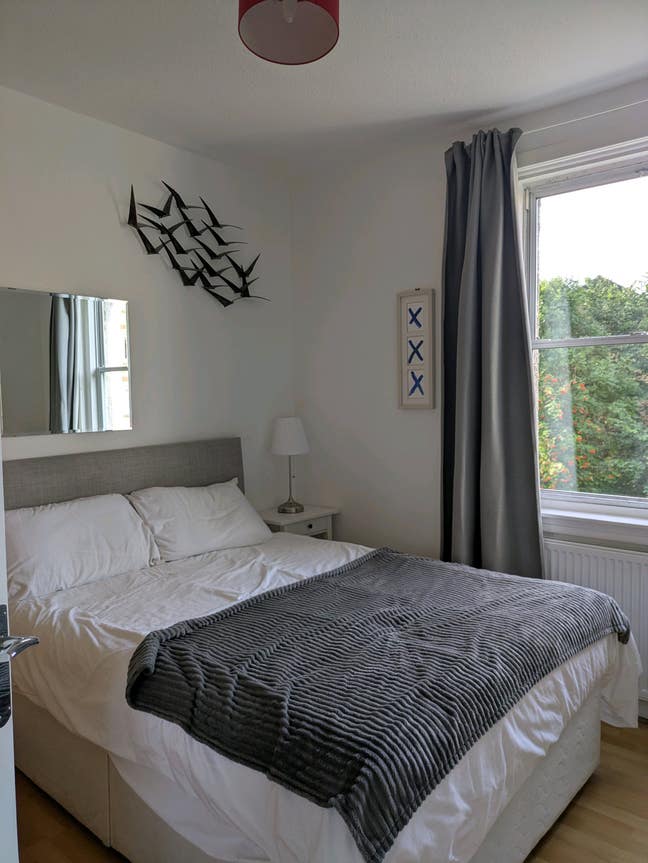 Double room in bright and airy Newington flat  Main Photo