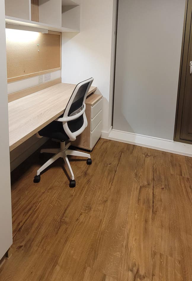 Premium Studio near University of Surrey Main Photo
