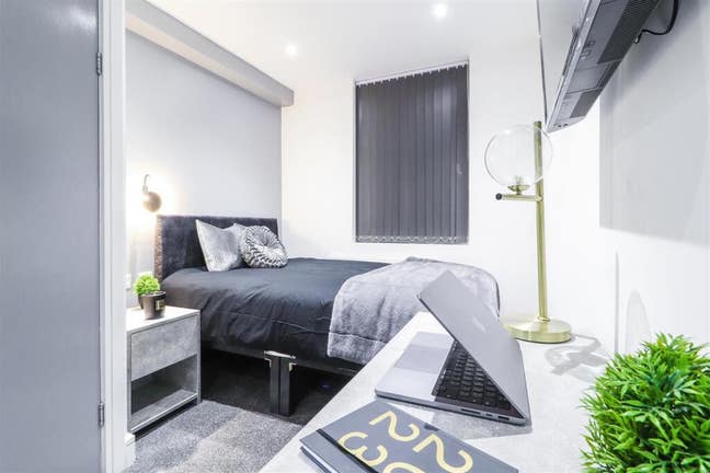 Ensuite Within 10 Min walk to City Center Main Photo