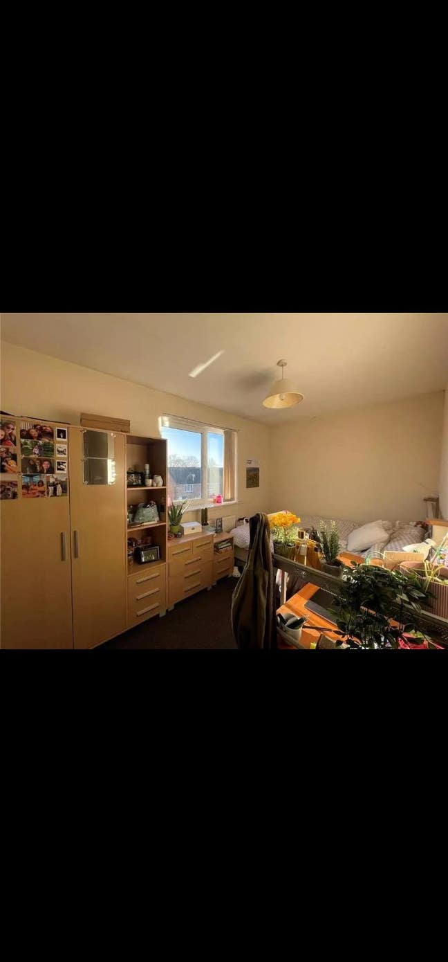 Room for rent - Ardwick, Greater Manchester  Main Photo