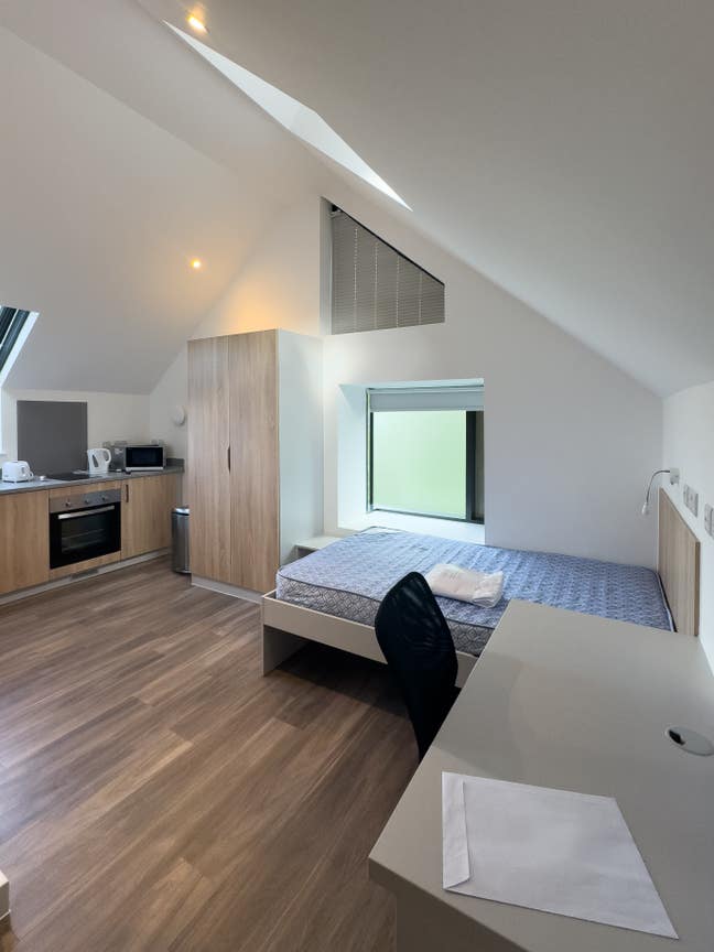 ⭐️ URGENT!! ⭐️ University of Exeter Campus Studio Main Photo