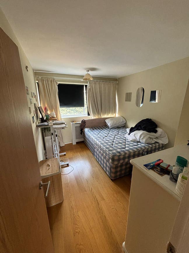 Double Room in 2 bed flat in Pimlico Main Photo