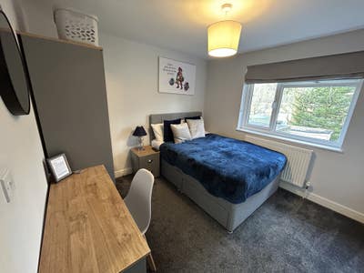 Stylish Professional House Share Main Photo