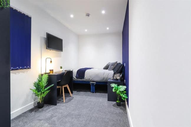 Ensuite King Richard Street Available mid Sept Main Photo