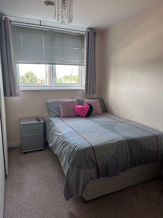 Room for Professional  Main Photo
