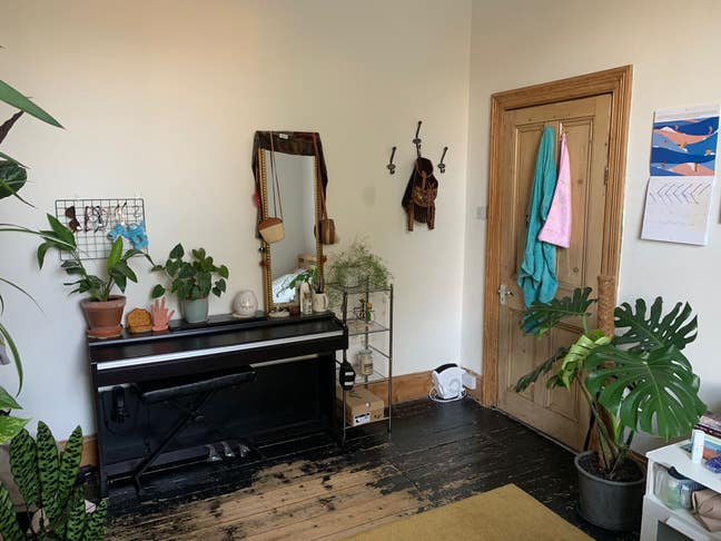 Looking for mature professional to join our home. Main Photo