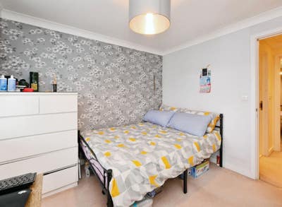 Room Available- Single Female Preferred|No meat cooking Main Photo