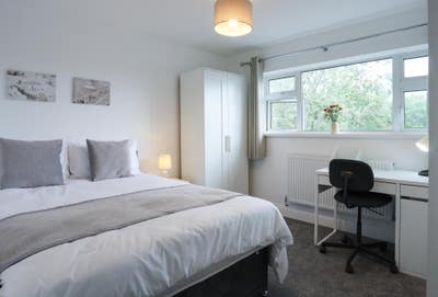6 Stylish Brand New Rooms Available Now! Main Photo