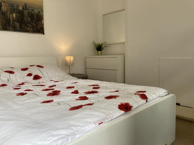 All Inclusive - Great Double  Room in Broomhill  Main Photo