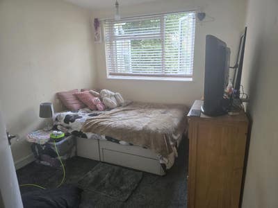Room to let Main Photo