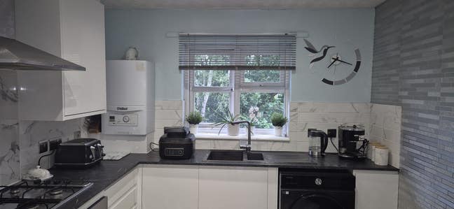 Single room in a 2 bed apartment Main Photo
