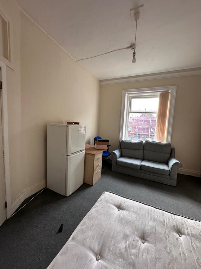 ✨ Spacious Double Room in Calm, Professional Flat Main Photo