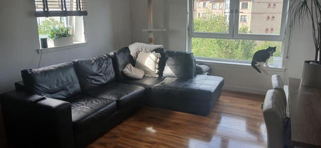 Room available for the week - lochend park view Main Photo