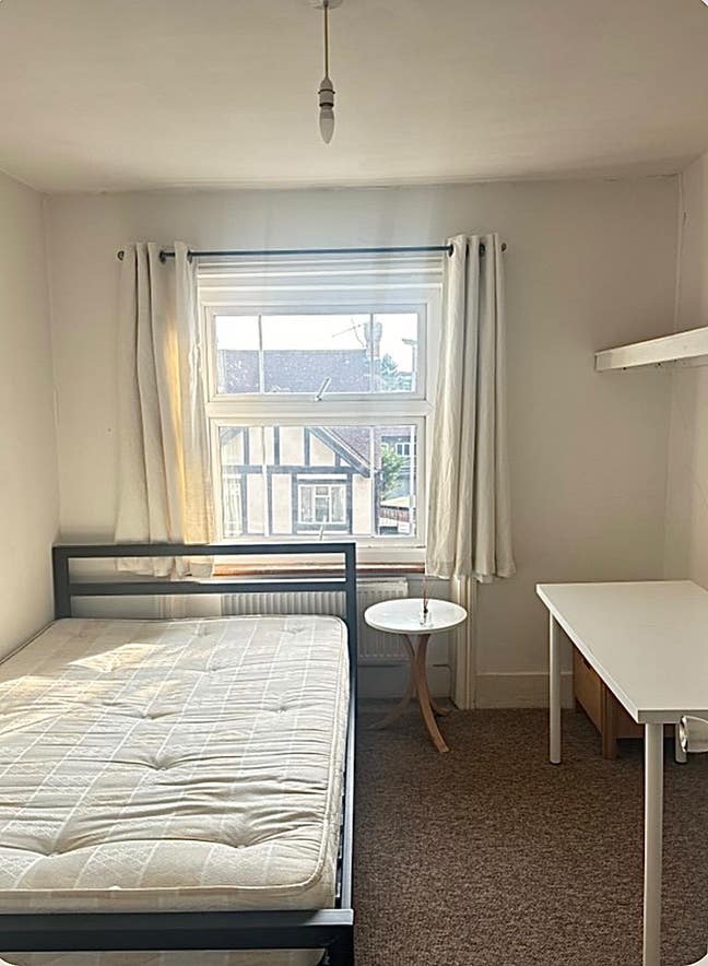 Move-in ready room, short walk to central Kingston Main Photo