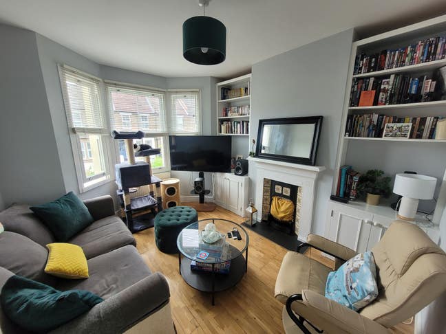 House Share - Cat lovers please :) Main Photo