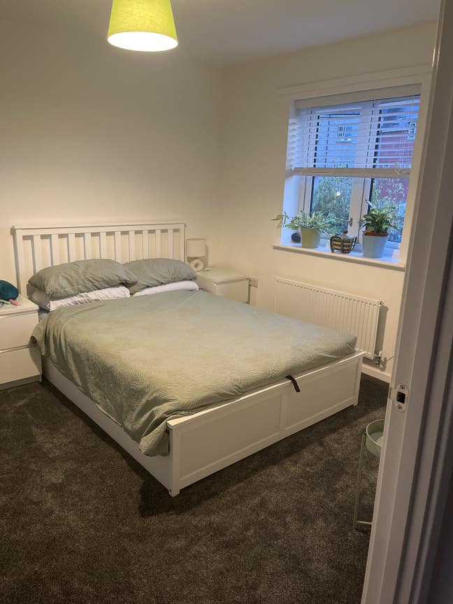 Cranbrook, Exeter - Room for rent  Main Photo