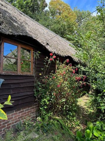 Detached single storey thatched chalet Main Photo