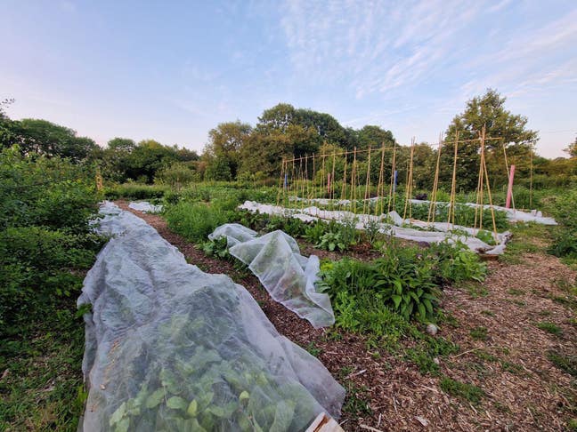 Community House Share in Cheshire, 27 acres land Main Photo