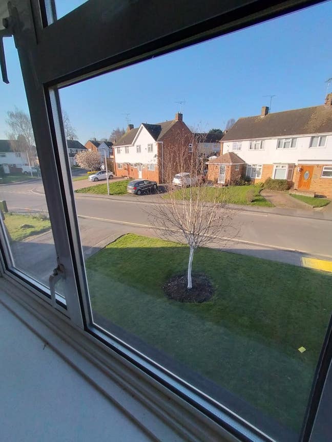 3 bedroom house , 1 man and one woman  Main Photo