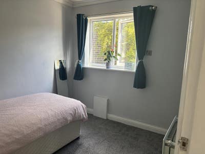 Single room for rent  Main Photo