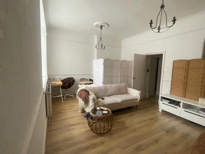 Studio Flat Maidenhead  Main Photo