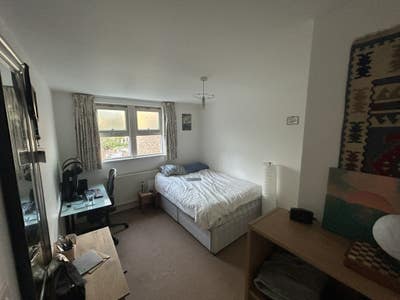 Room in Jericho Main Photo